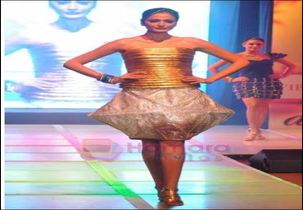 Inter National Institute of Fashion Design, Gurgaon Others(10)