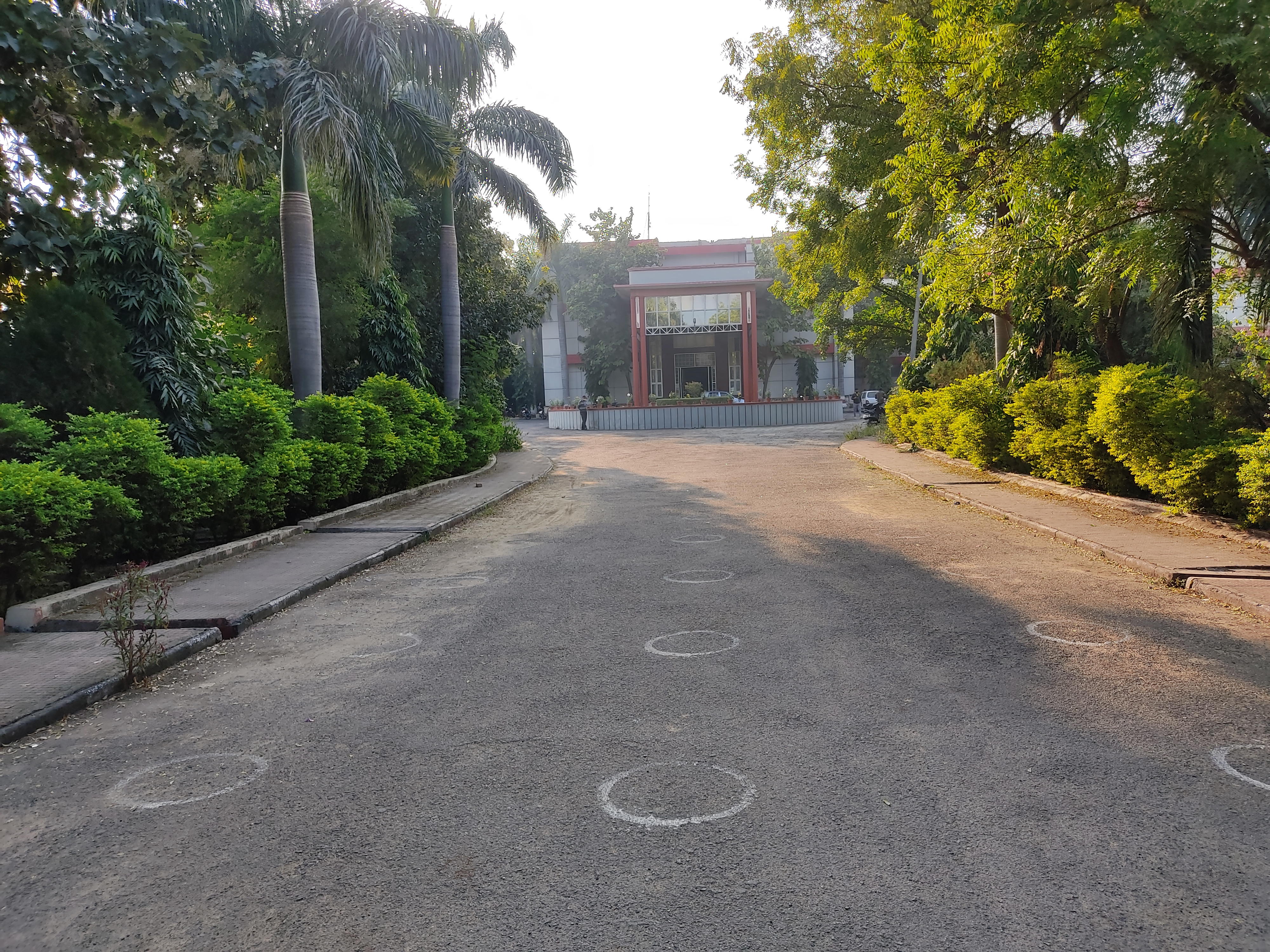 Kali Charan Nigam Institute of Technology Campus View(1)
