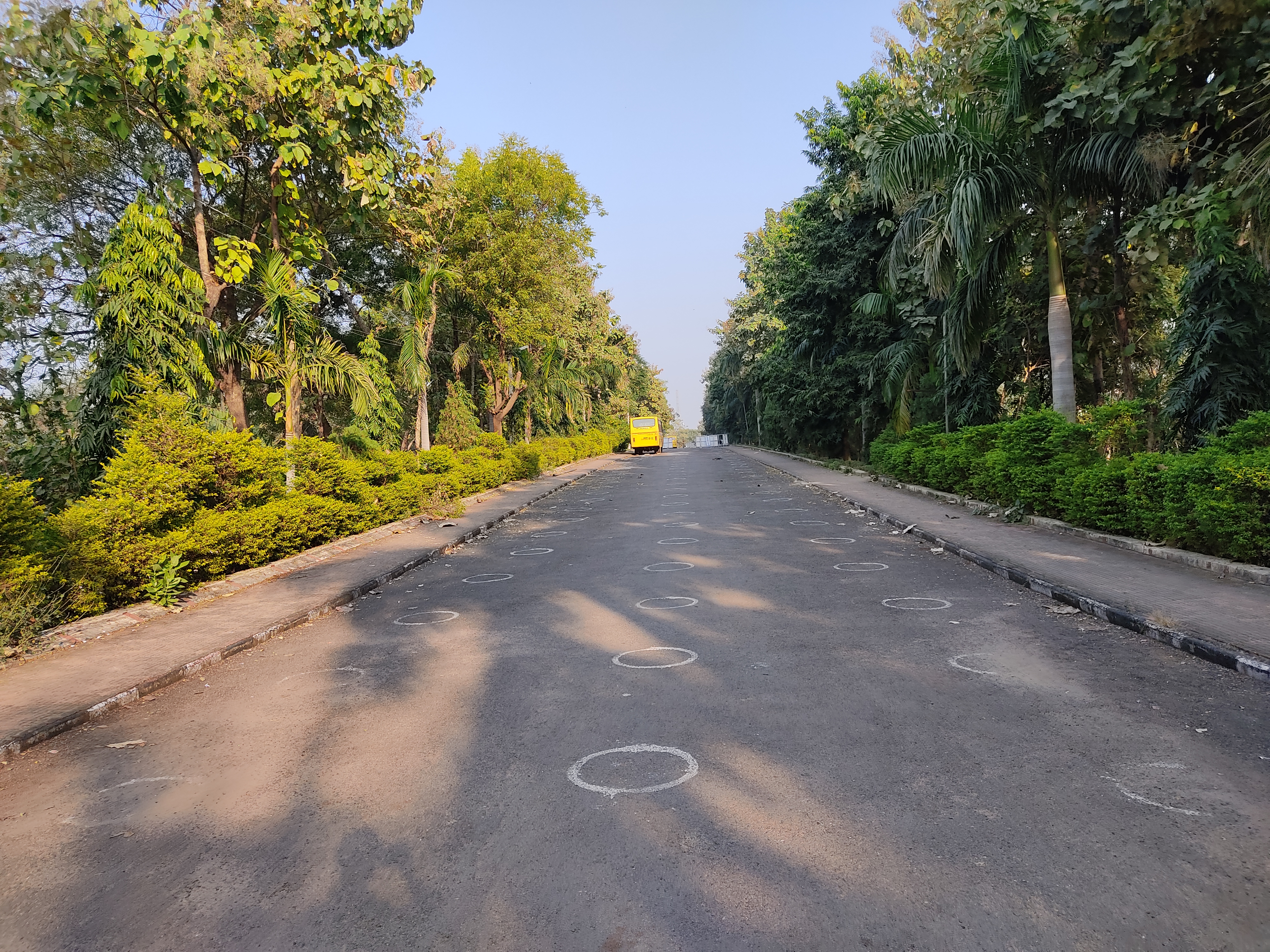 Kali Charan Nigam Institute of Technology Campus View(2)