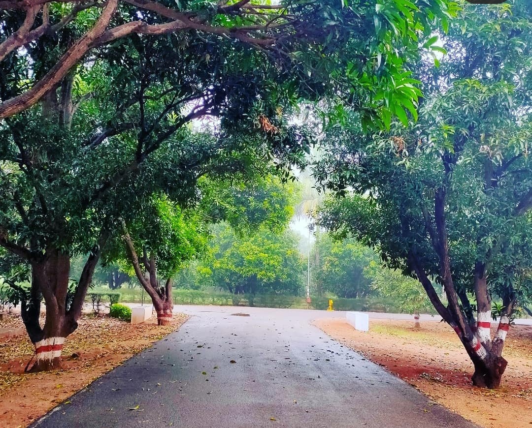 Kamala Institute of Technology and Science Others(3)