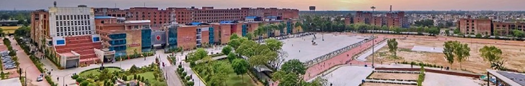 Lovely Professional University Others(1)