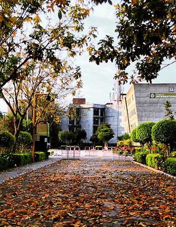 Lovely Professional University Campus View(7)