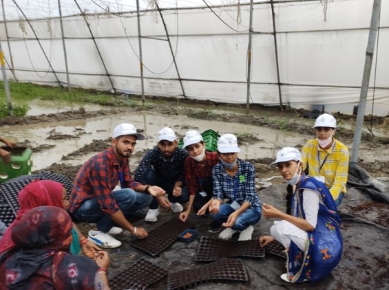 MHU Karnal Students Work