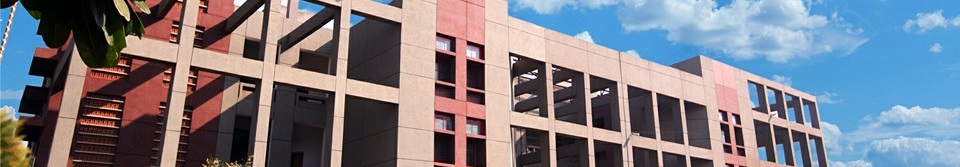 Master School of Management Others