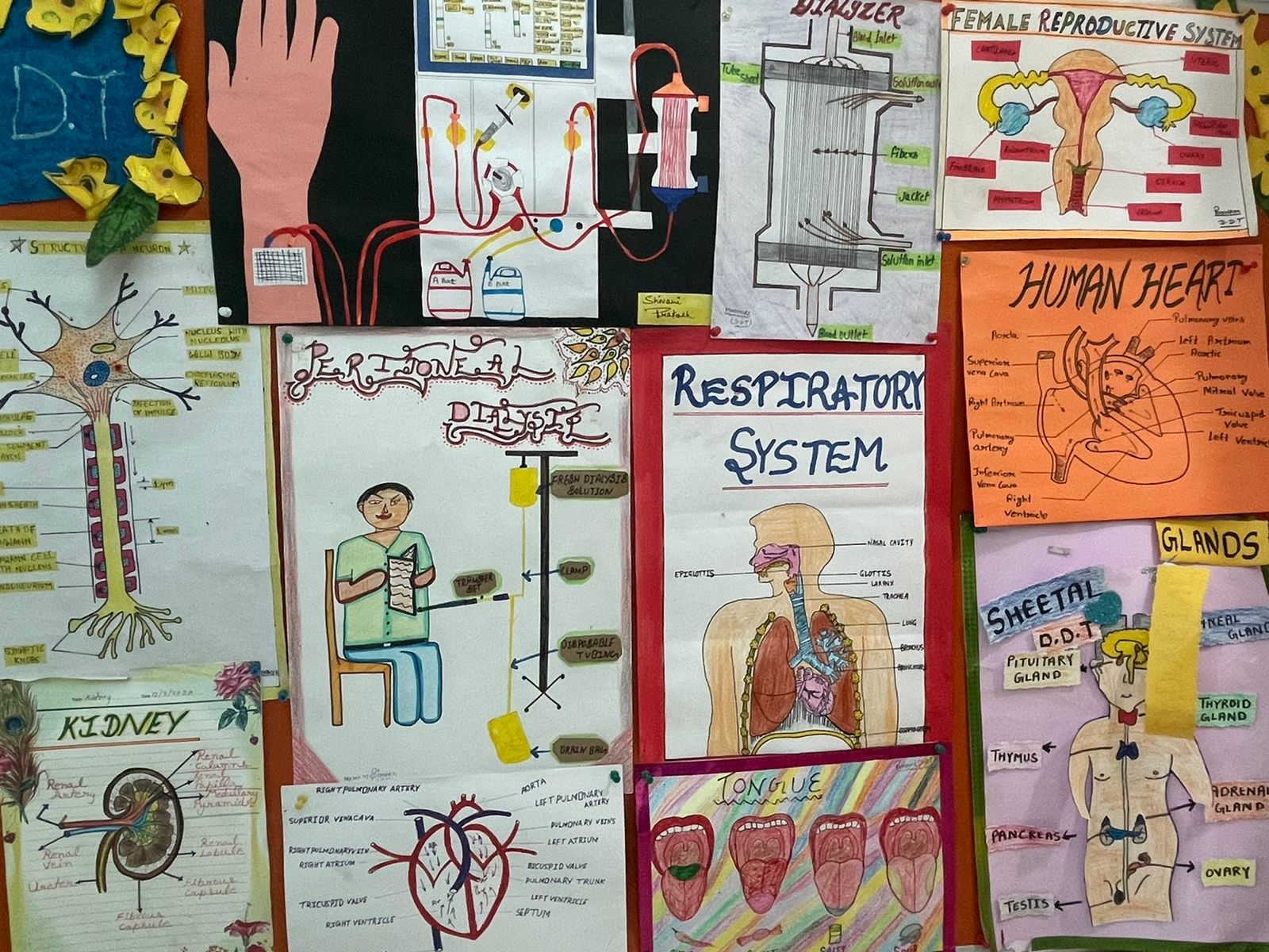 Max Institute of Allied & Paramedical Education, Rohini Campus Building(5)