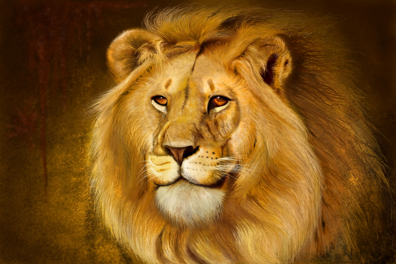 Maya Academy of Advanced Cinematics, Nagpur Students Work(5)