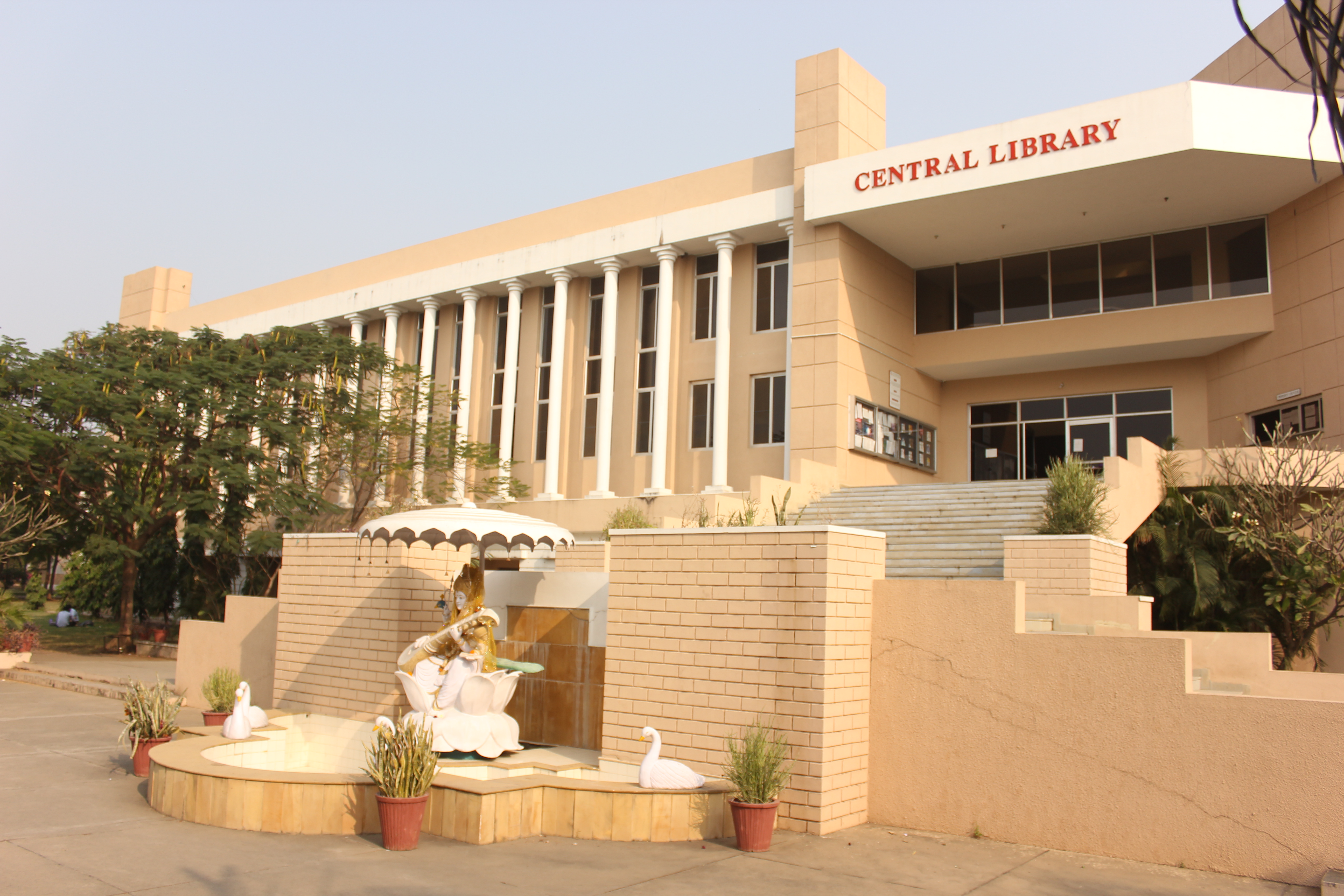 Medicaps University Library(2)