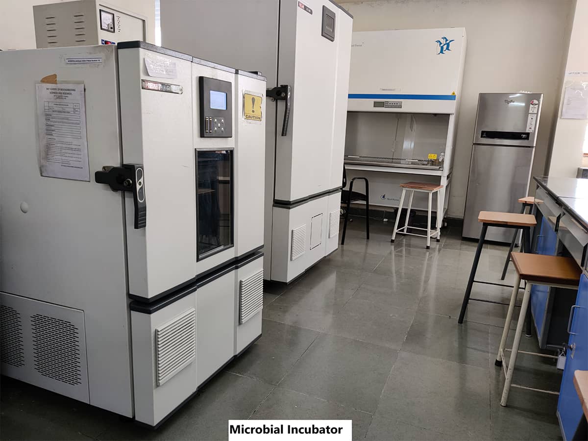 MIT BIO Campus Building(4)