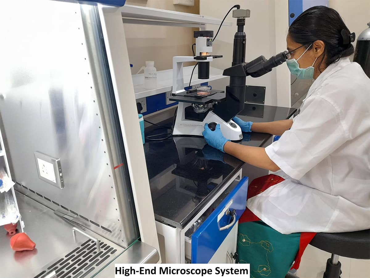 MIT BIO Campus Building(5)