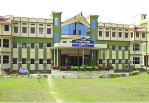 Mother Teresa Institute Others
