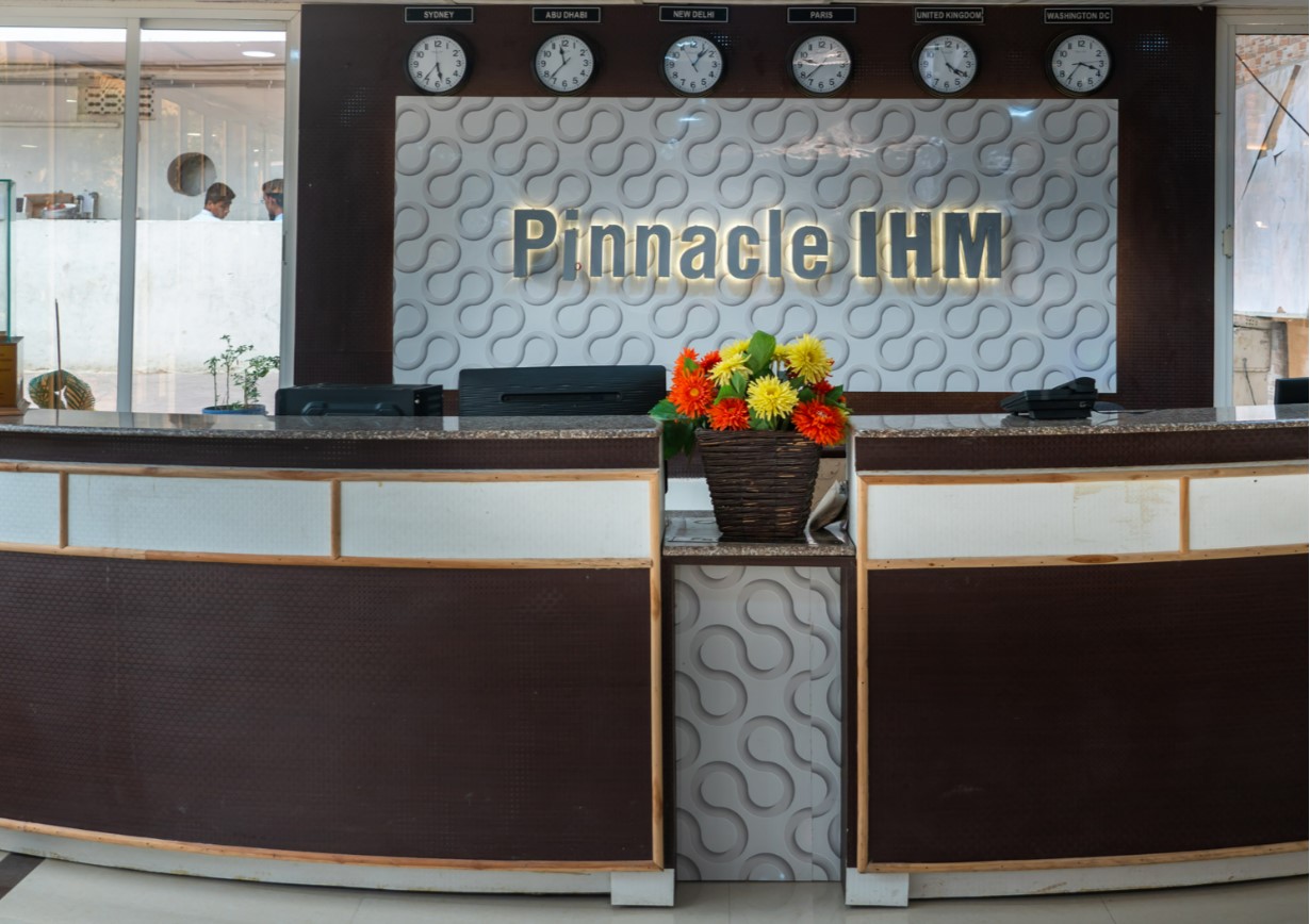 Pinnacle IHM Others(2)