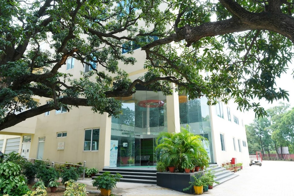 PML SD Business School Others(20)