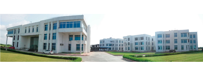 Prime Group of Institutions Others