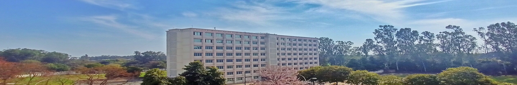 Punjabi University Patiala Campus View(1)