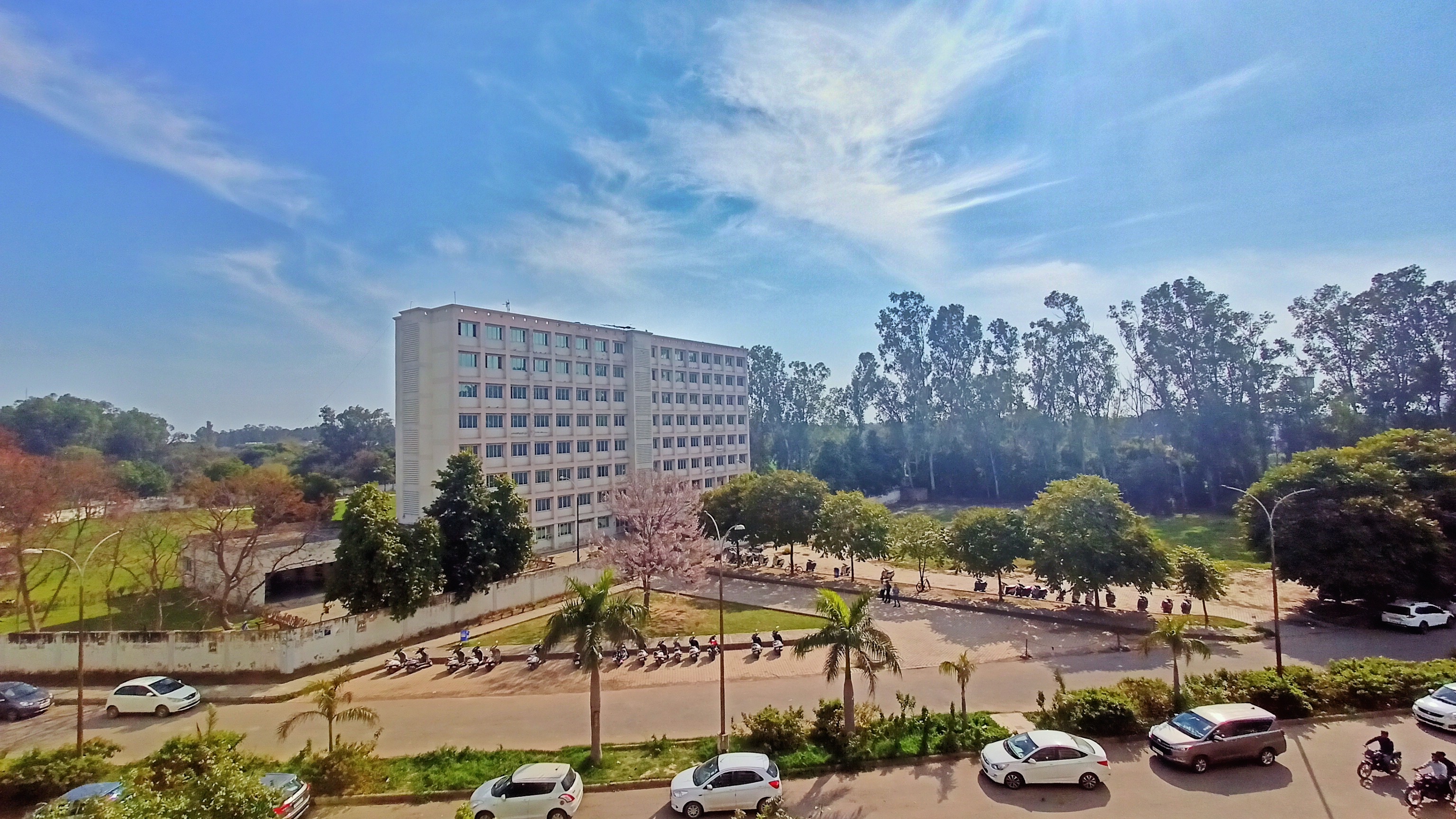 Punjabi University Patiala Campus View(2)