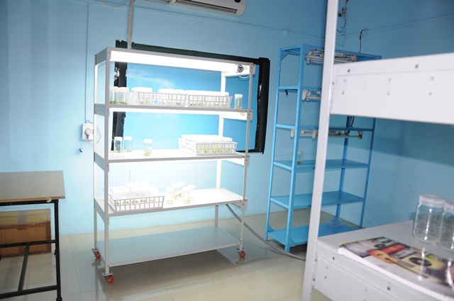COCSIT Labs(2)