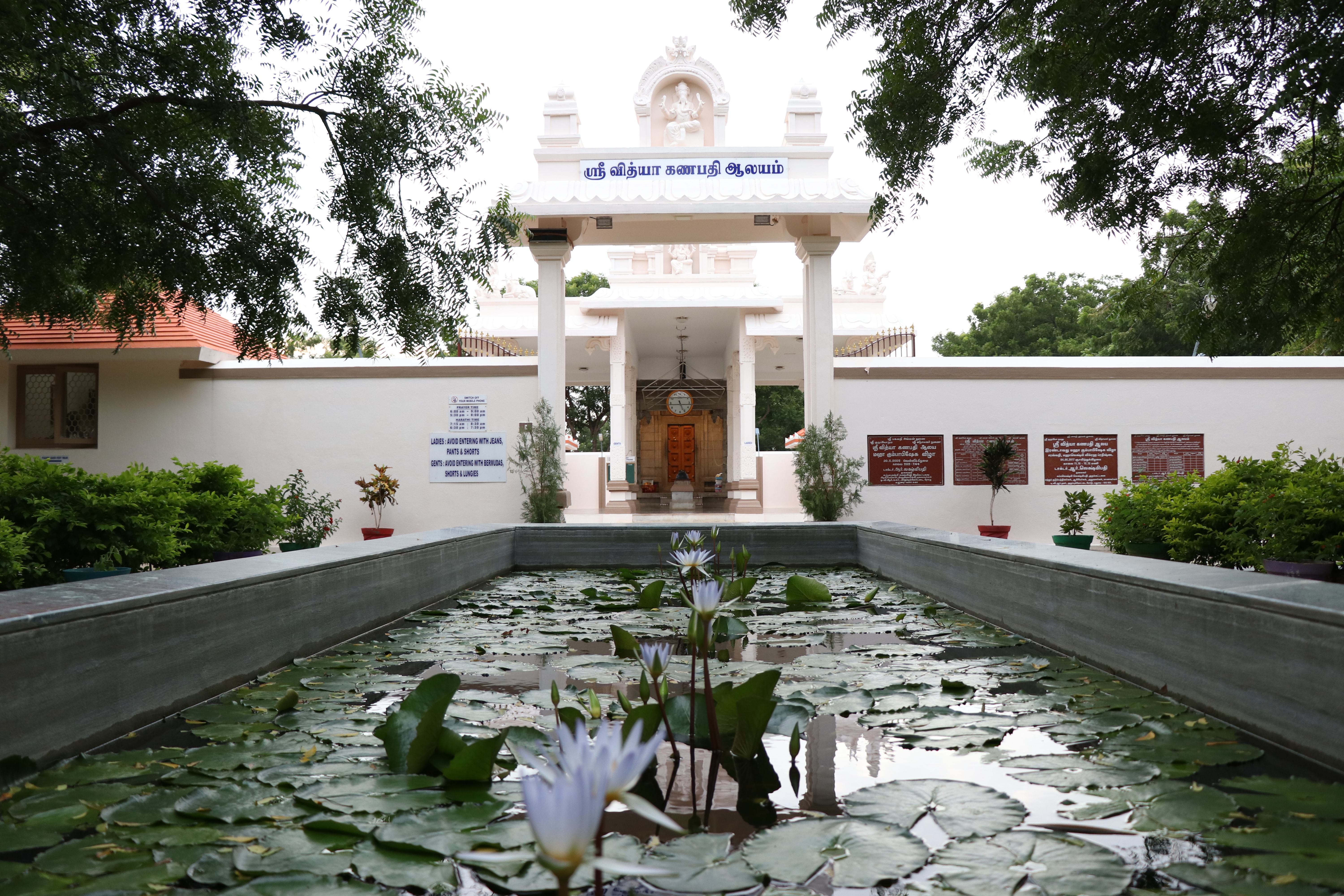 RL Institute of Management Studies Others(3)