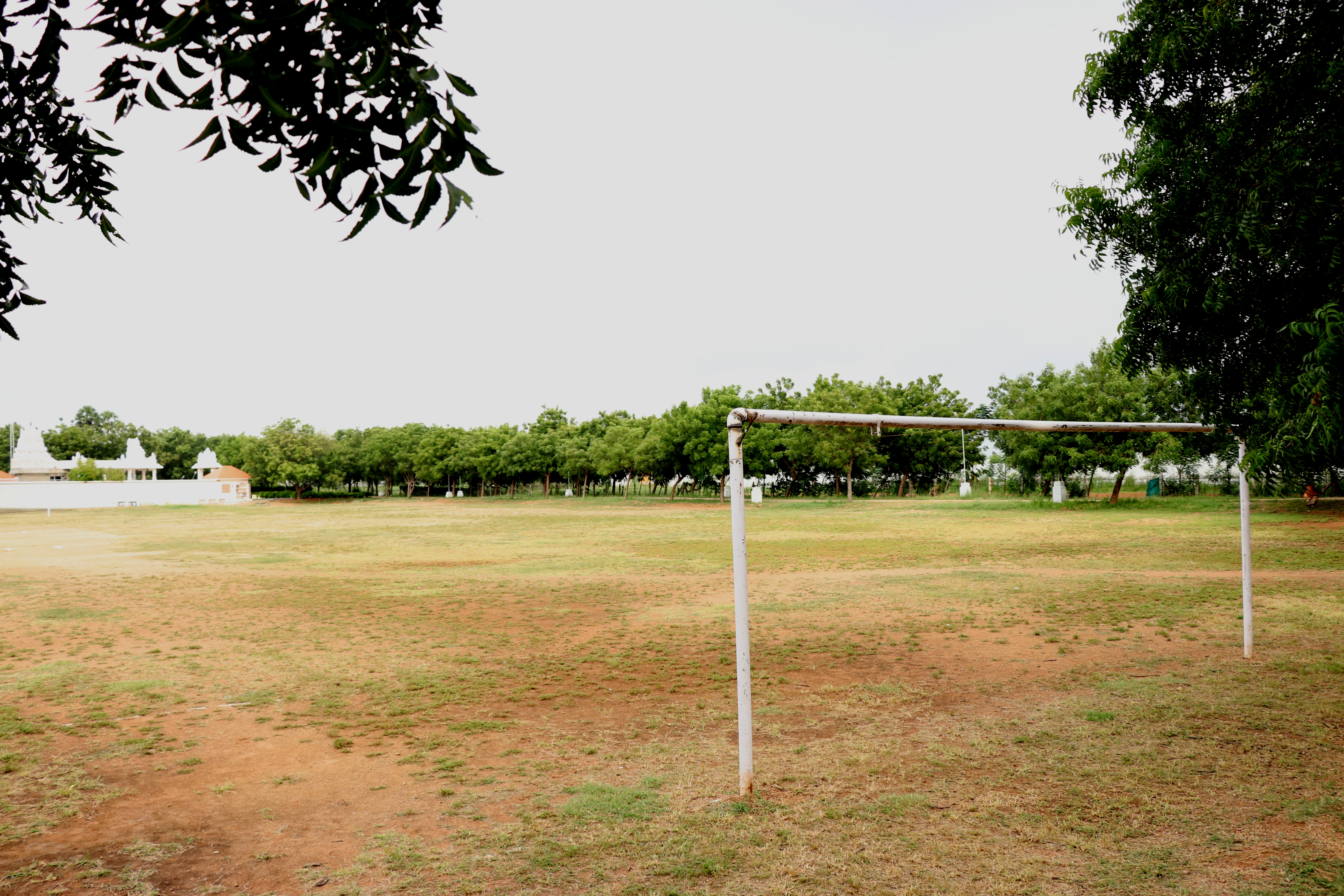 RL Institute of Management Studies Playground