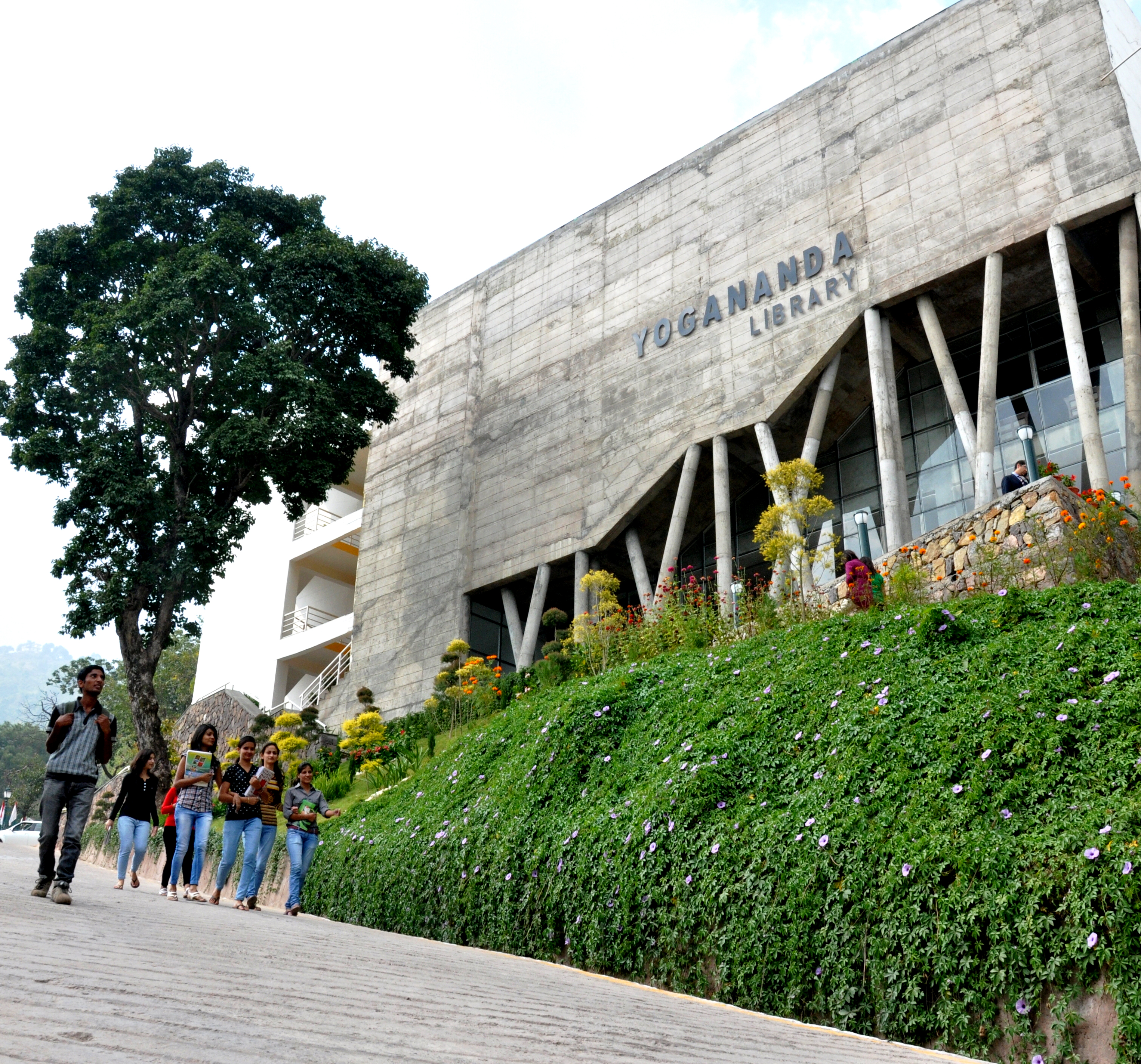 Shoolini University Library(2)