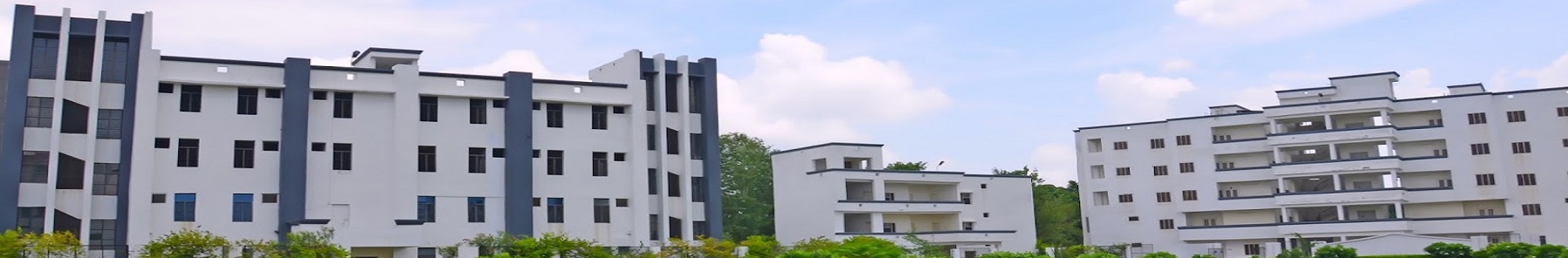 Shri Ram Murti Smarak International Business School Campus Building(1)