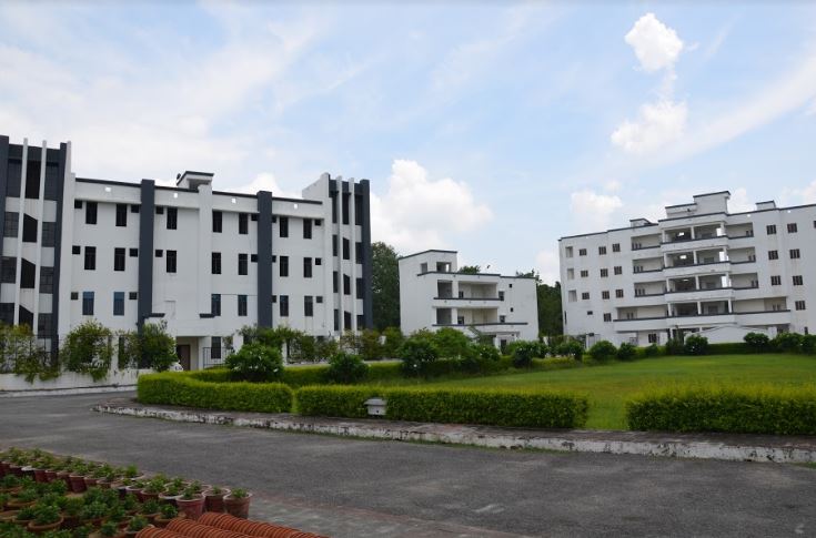Shri Ram Murti Smarak International Business School Campus Building(2)
