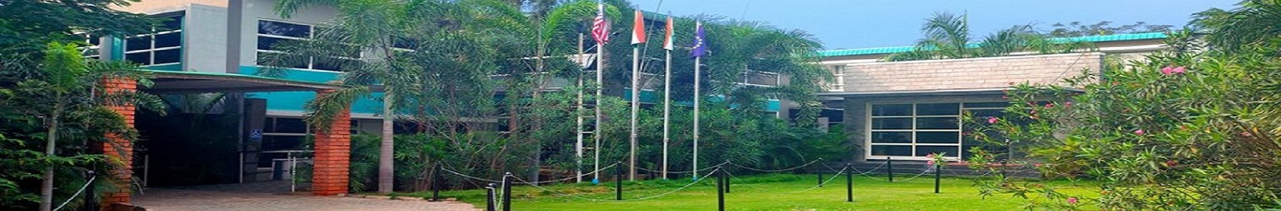 School of Management Others