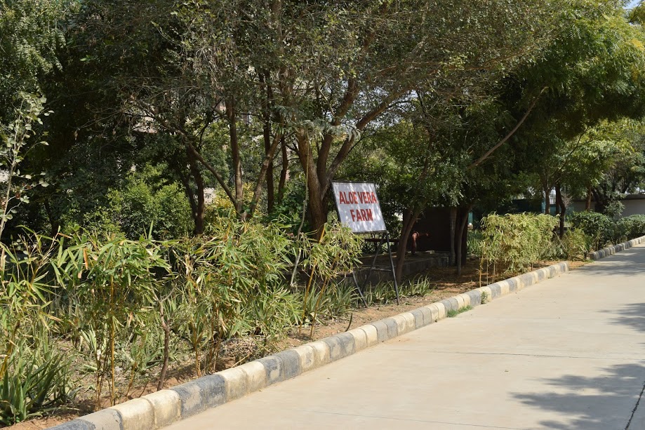 Vivekananda Global University Others(3)