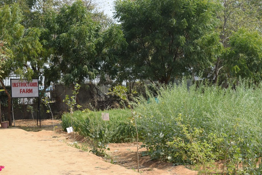 Vivekananda Global University Others(4)