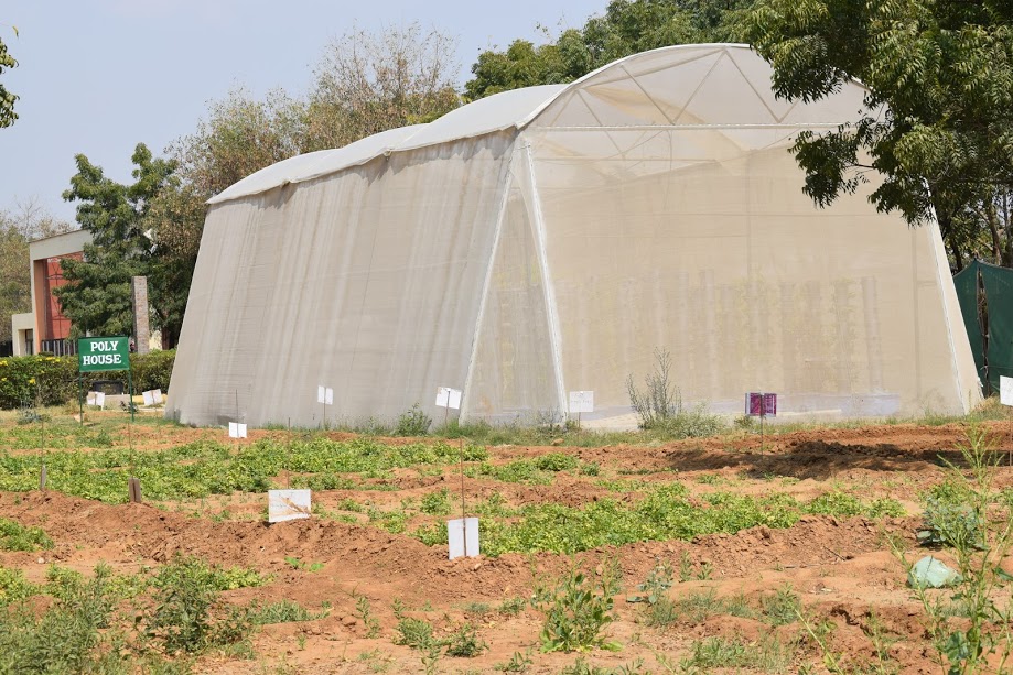 Vivekananda Global University Others(5)