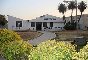 World Institute of Technology Others(2)