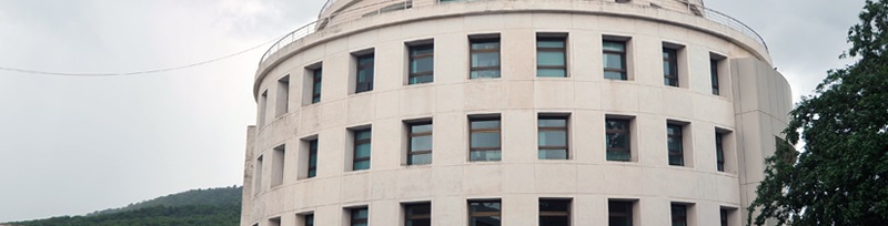 WWI Virtual Academy Others