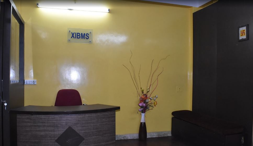 XIBMS Others(2)