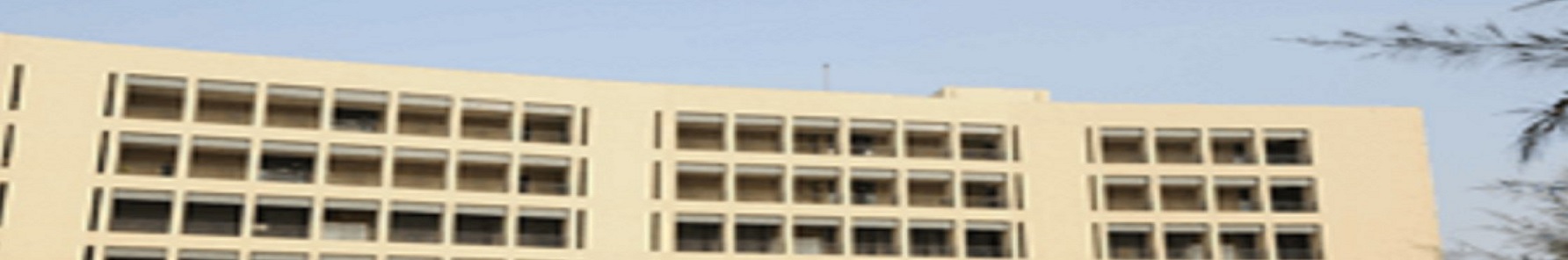 Adani Institute of Infrastructure Engineering Campus Building(1)