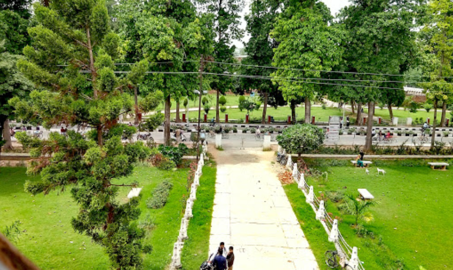 Aligarh Muslim University Campus View(1)