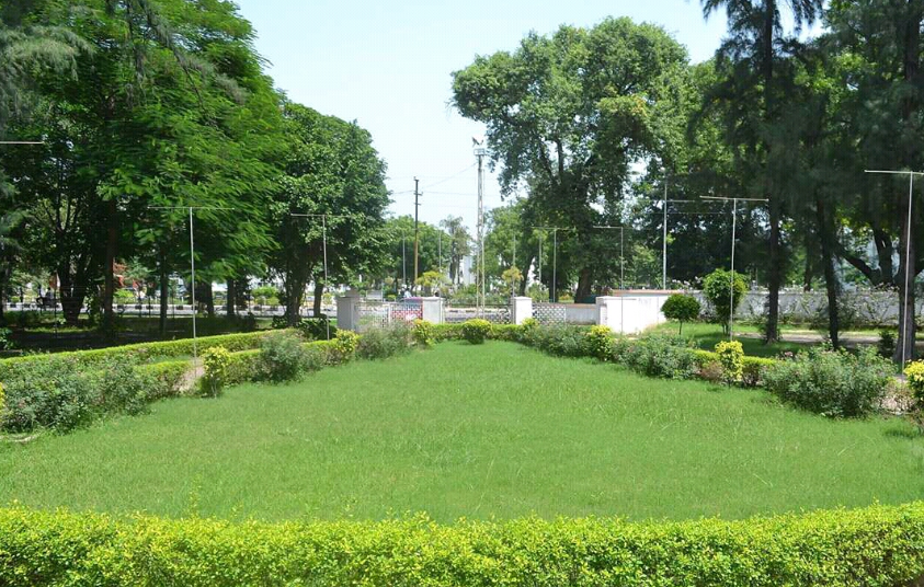 Aligarh Muslim University Campus View(2)