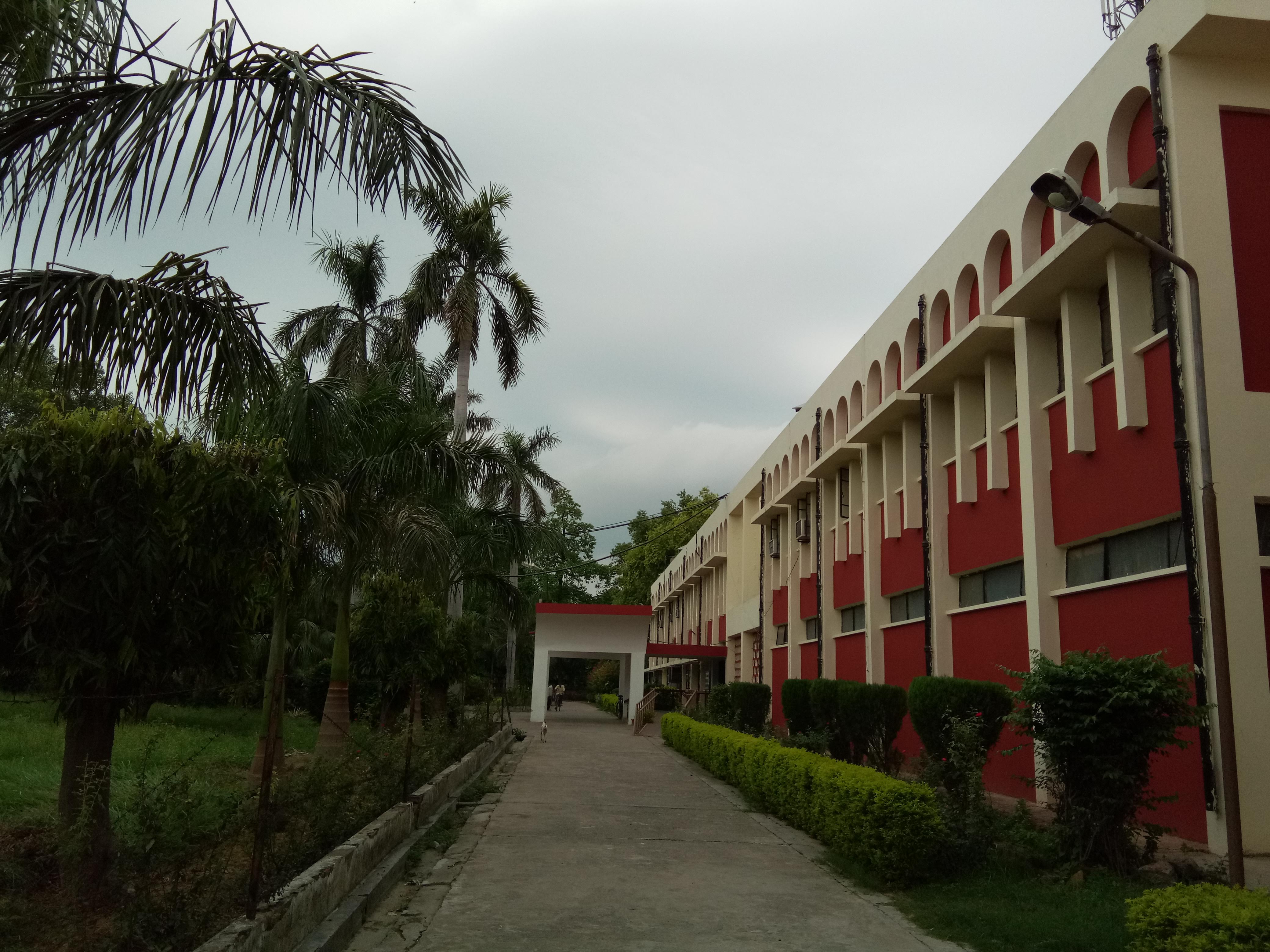 Allahabad University Campus View(1)