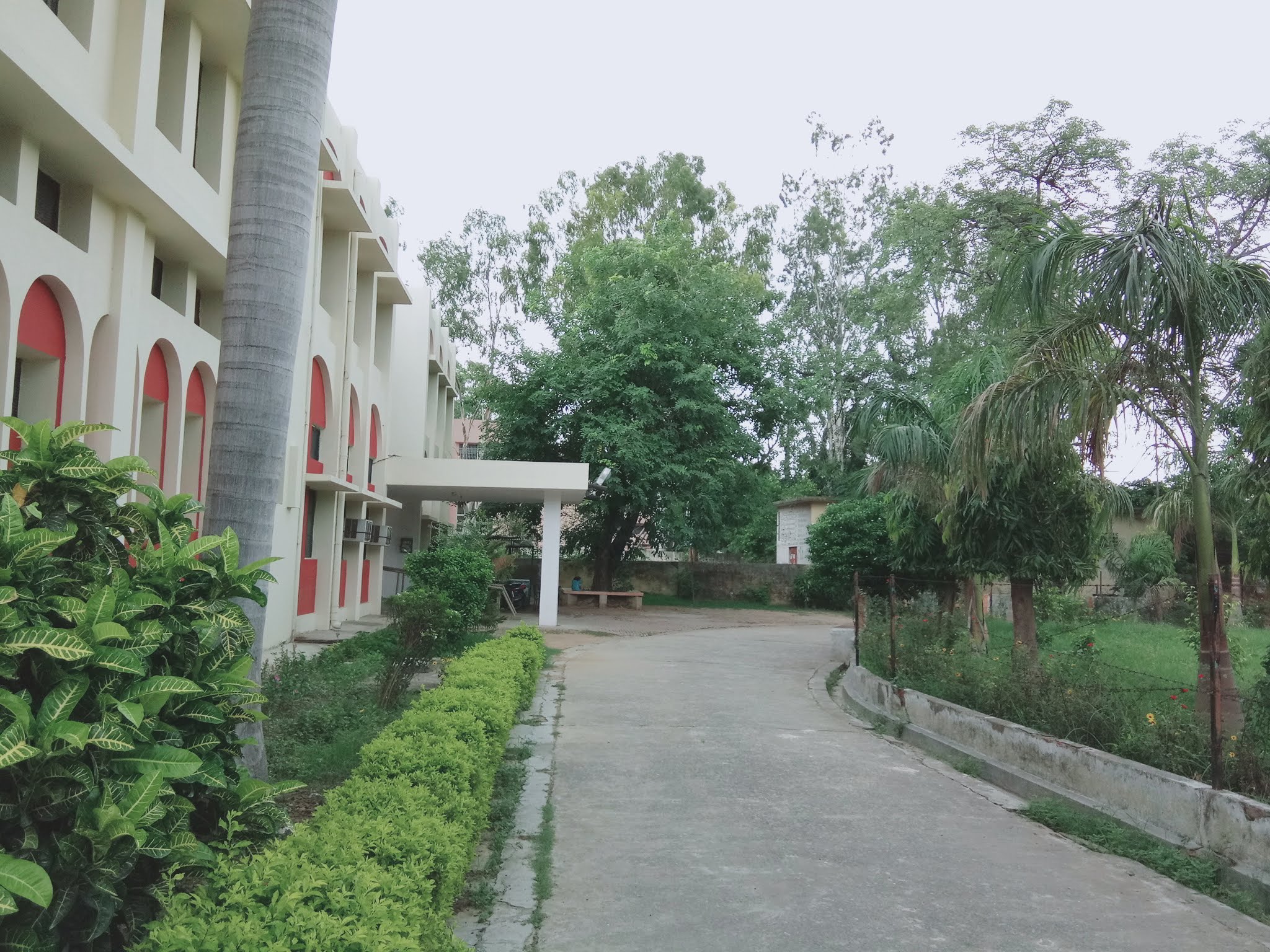 Allahabad University Campus View(2)