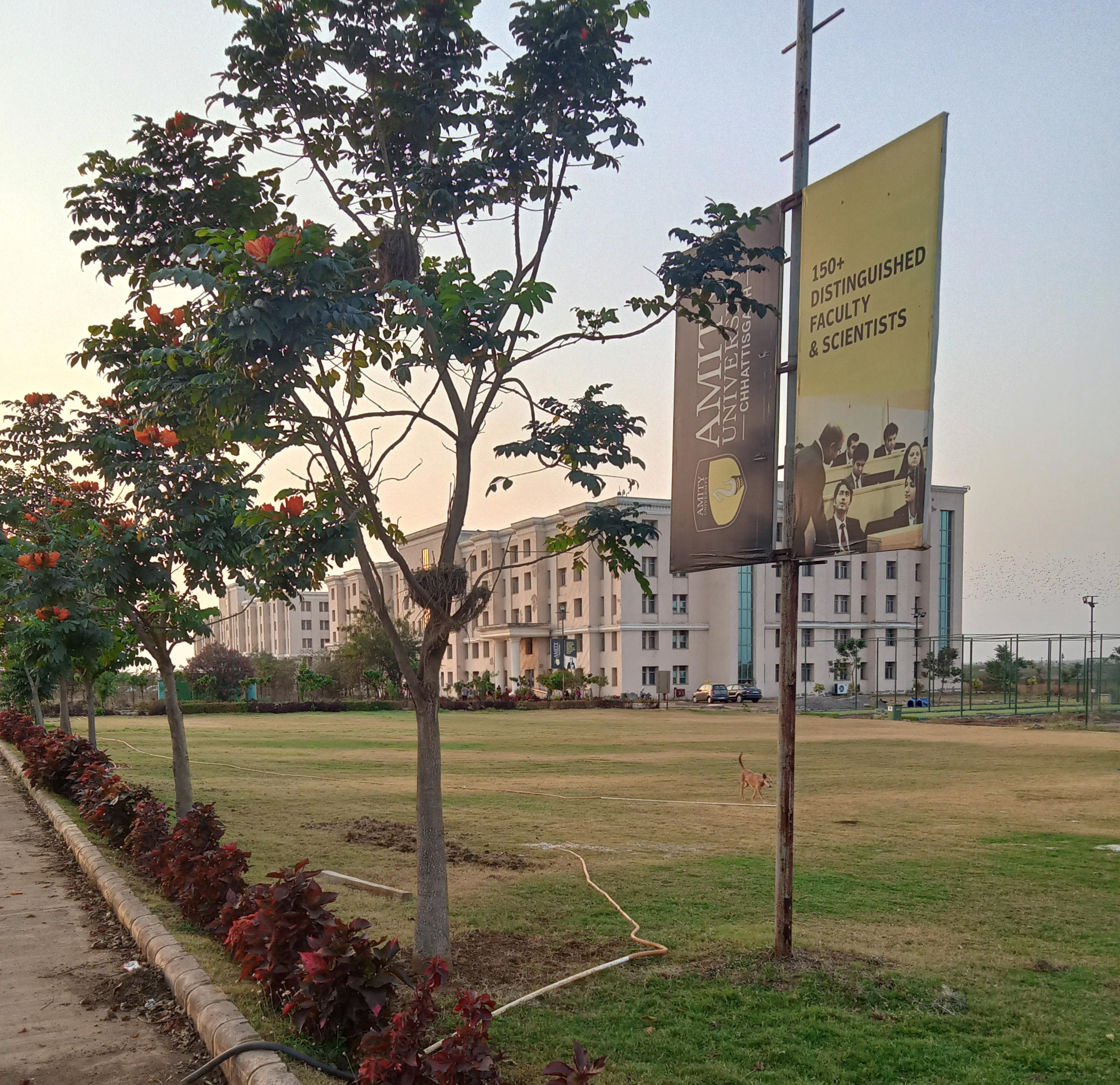 Amity University Raipur Campus View(2)
