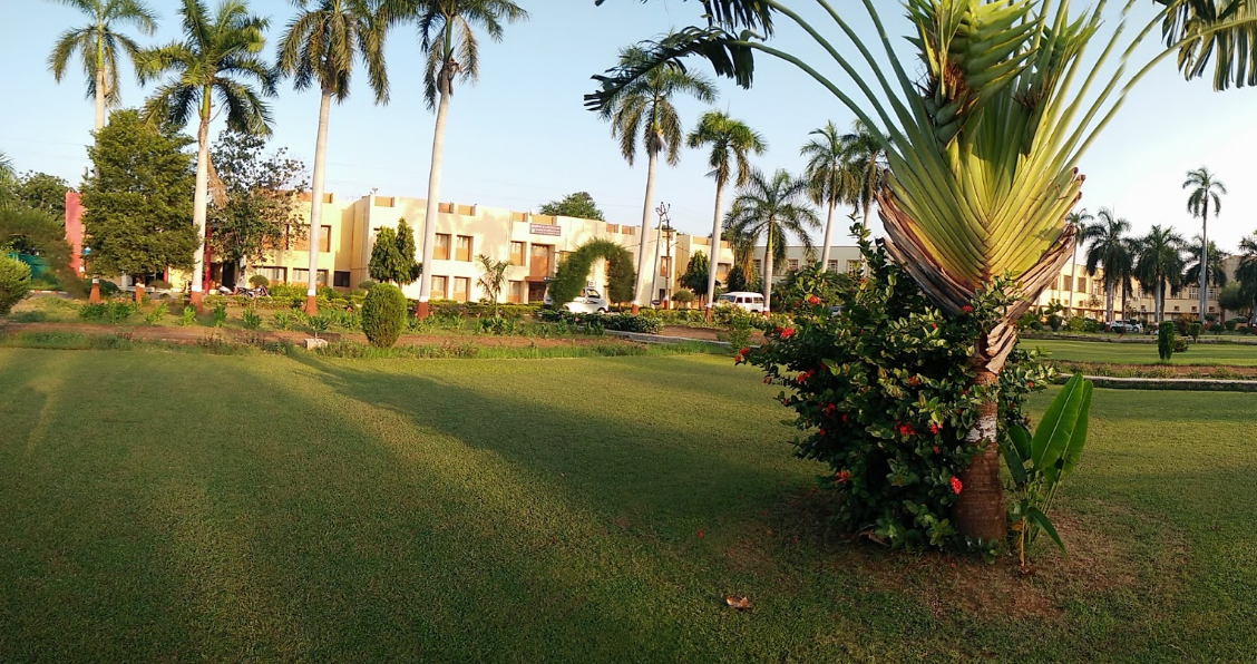 Anand Agricultural University Campus View