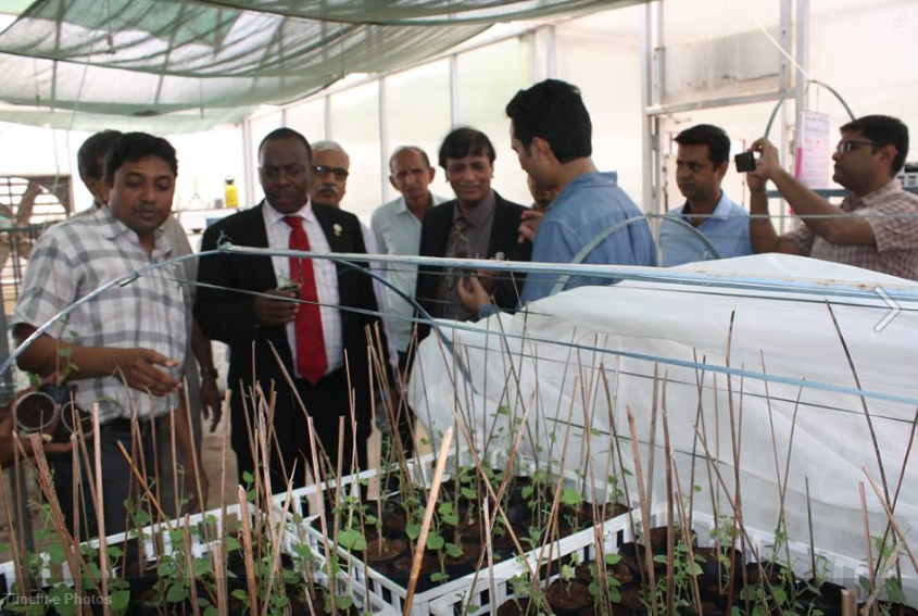 Anand Agricultural University Students Work