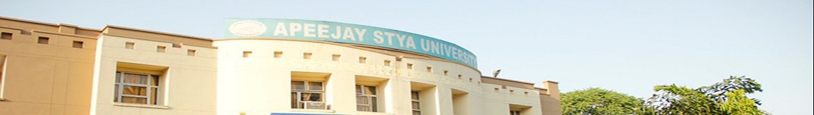 Apeejay Stya University Campus Building(2)