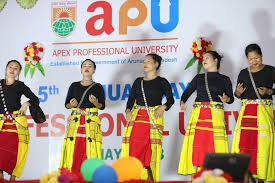 Apex Professional University Fest