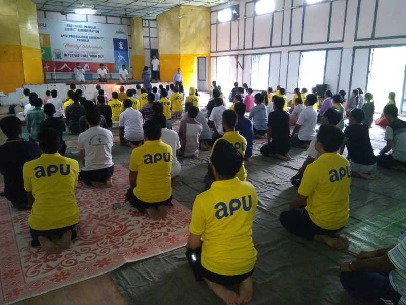 Apex Professional University Students Work