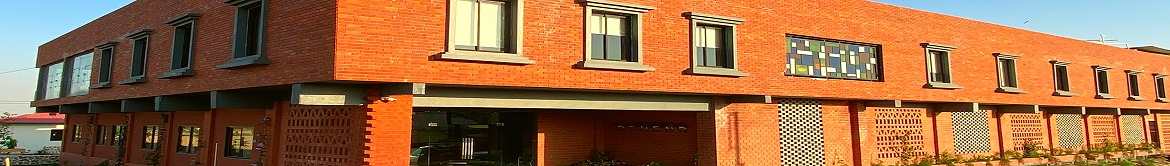 Artemisia College of Art and Design Campus Building(1)