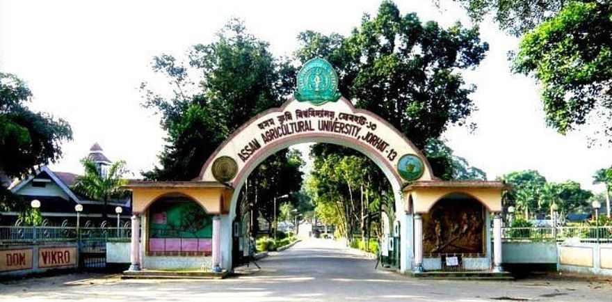 AAU Entrance(2)