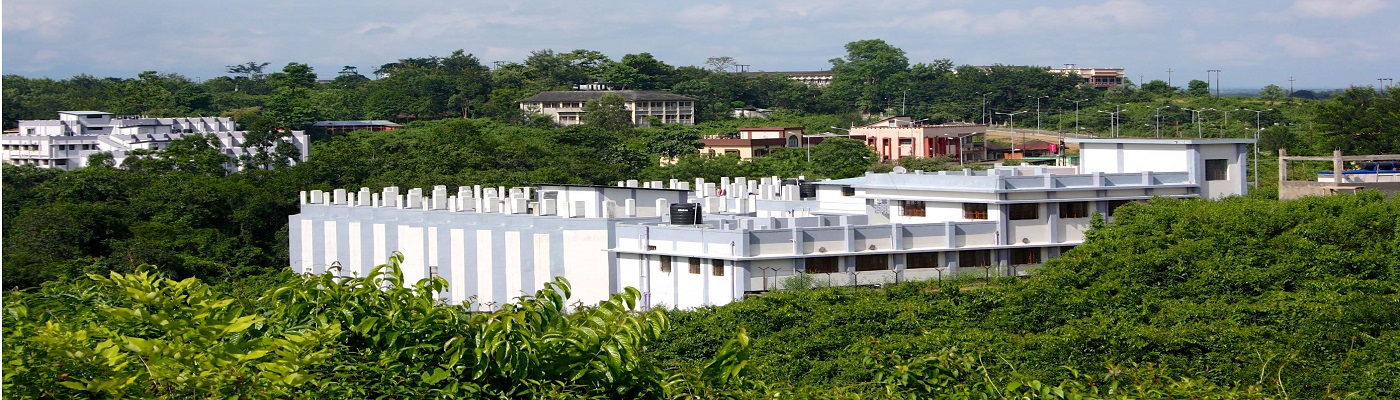 Assam University Campus View(1)