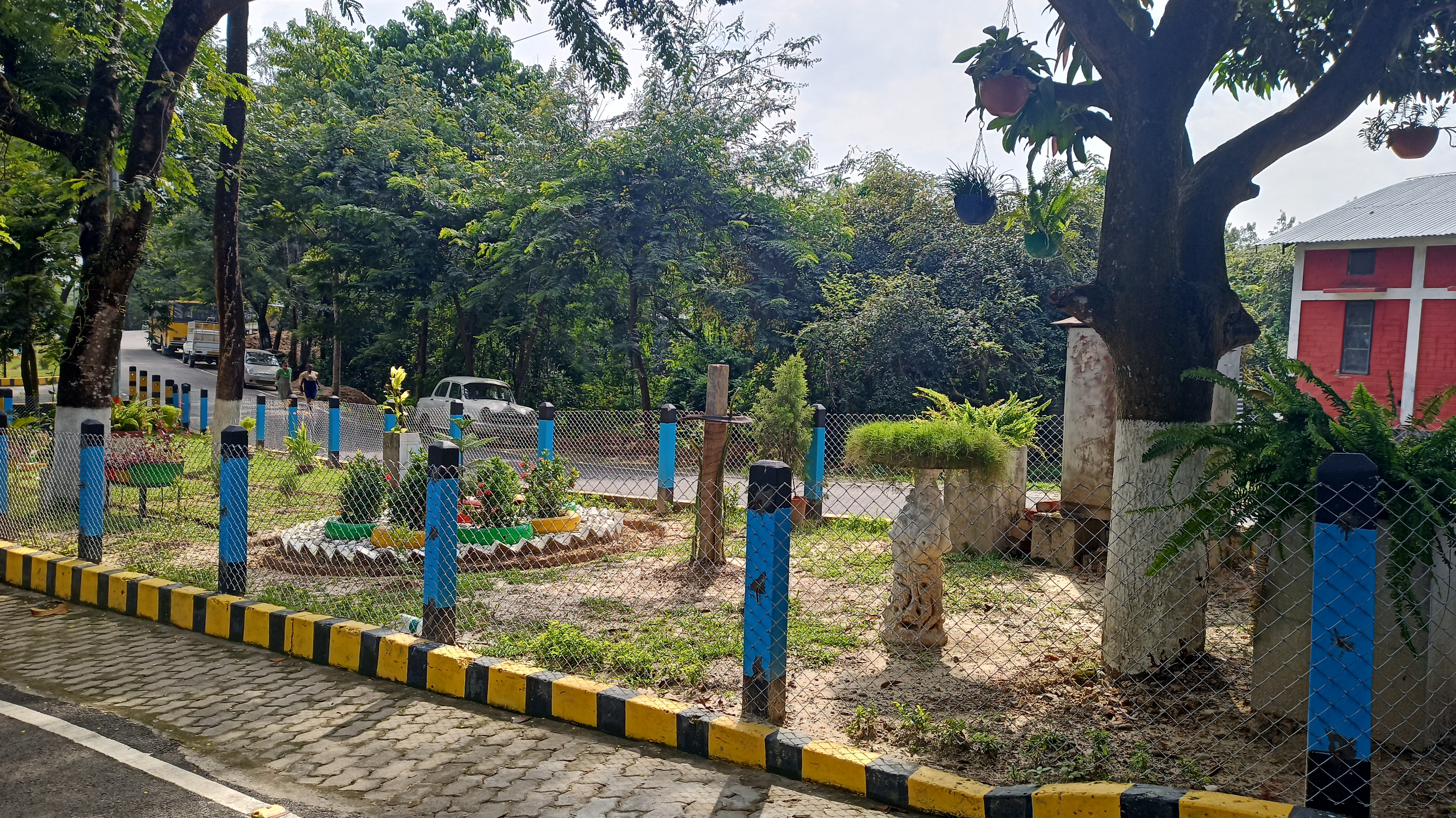 Assam University Campus View(2)