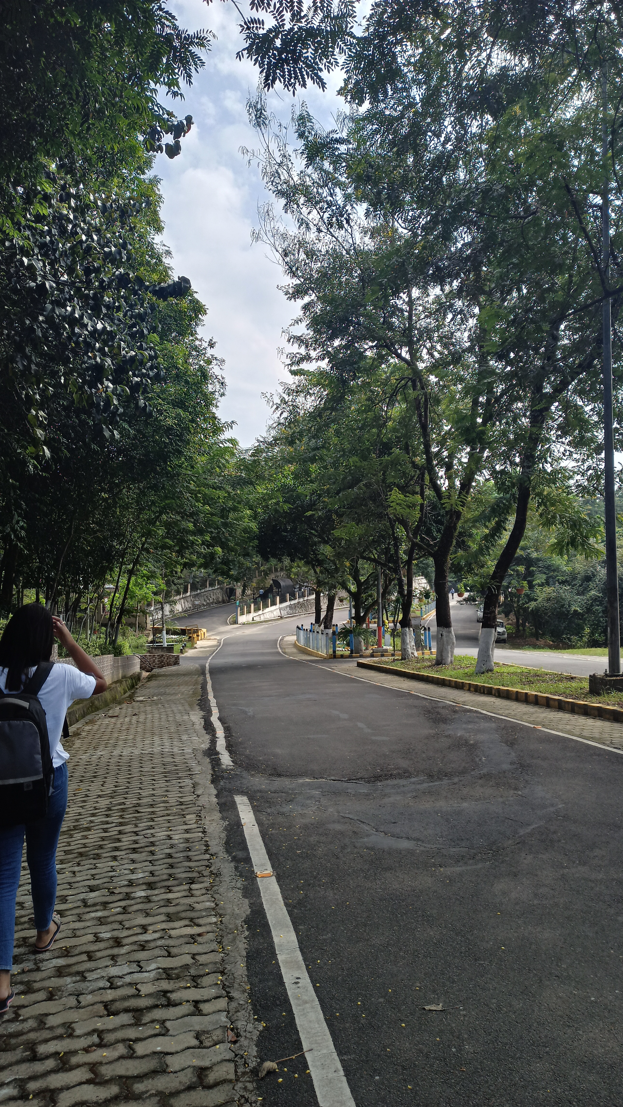 Assam University Campus View(3)