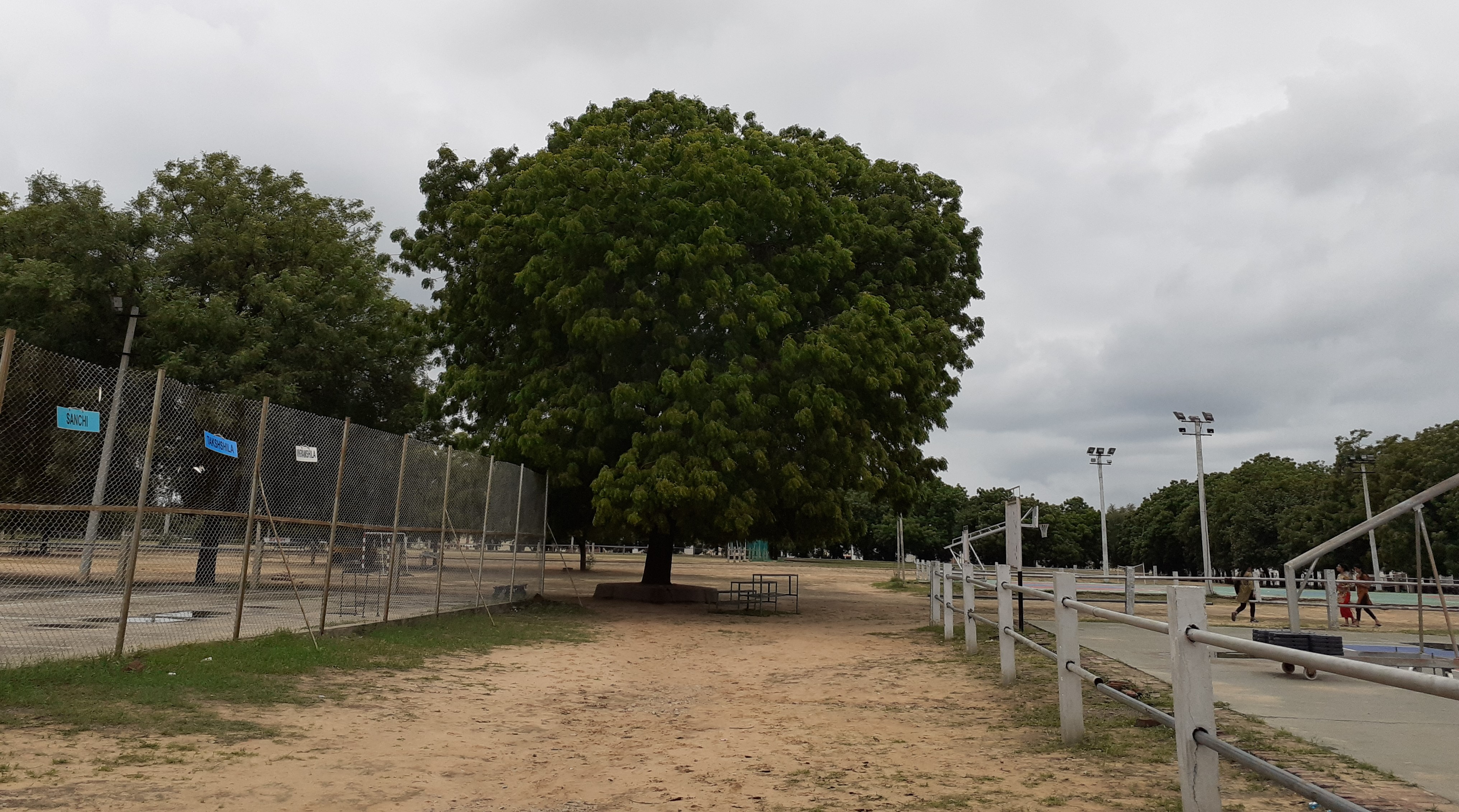Banasthali Vidyapith Playground