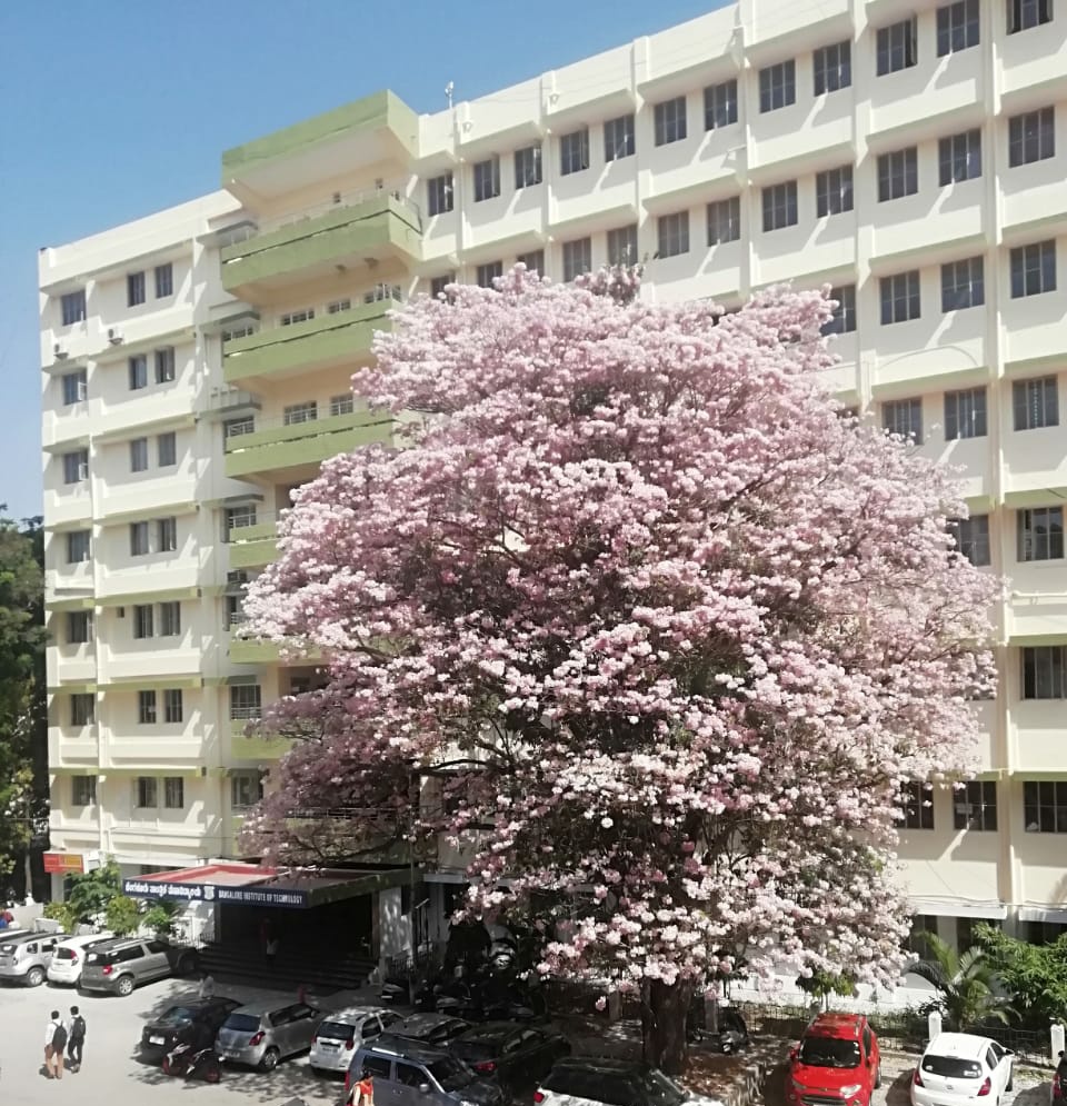 BIT Bangalore Campus Building(4)